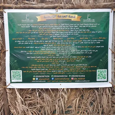 مزارع عالية المدينة